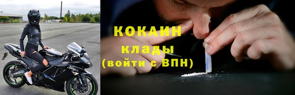 МДПВ Михайлов