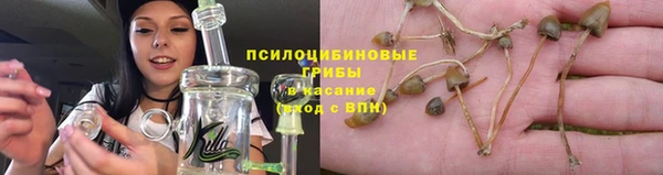 спиды Михайловск