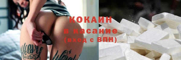 МДПВ Михайлов