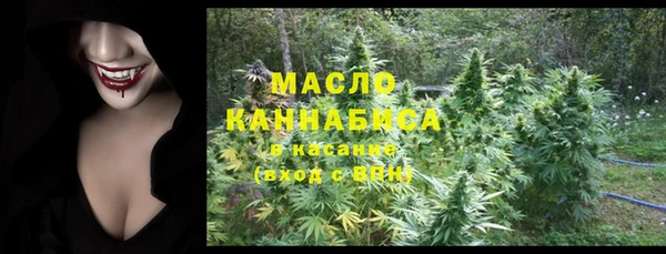 МДПВ Михайлов