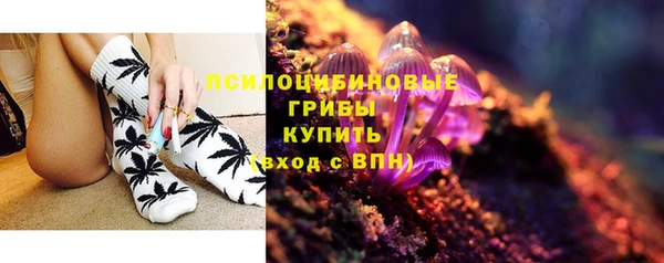 спиды Михайловск